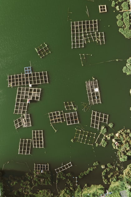 The Role of Fisheries in Sustainability