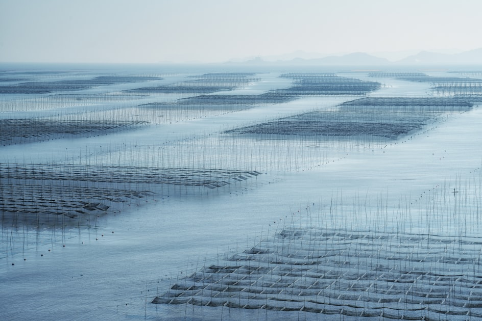 Food Security and Environmental Sustainability